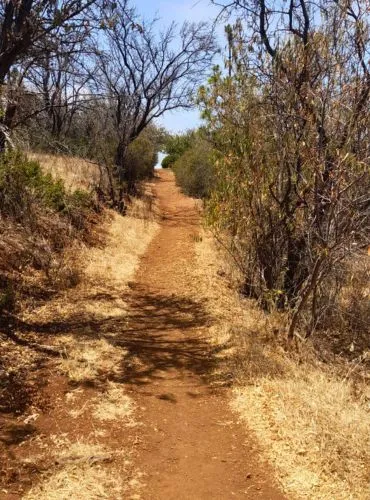 buracas wanderung im sommer