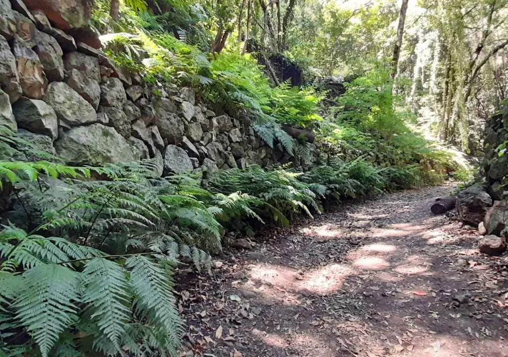 los tilos Wanderung mit die familie