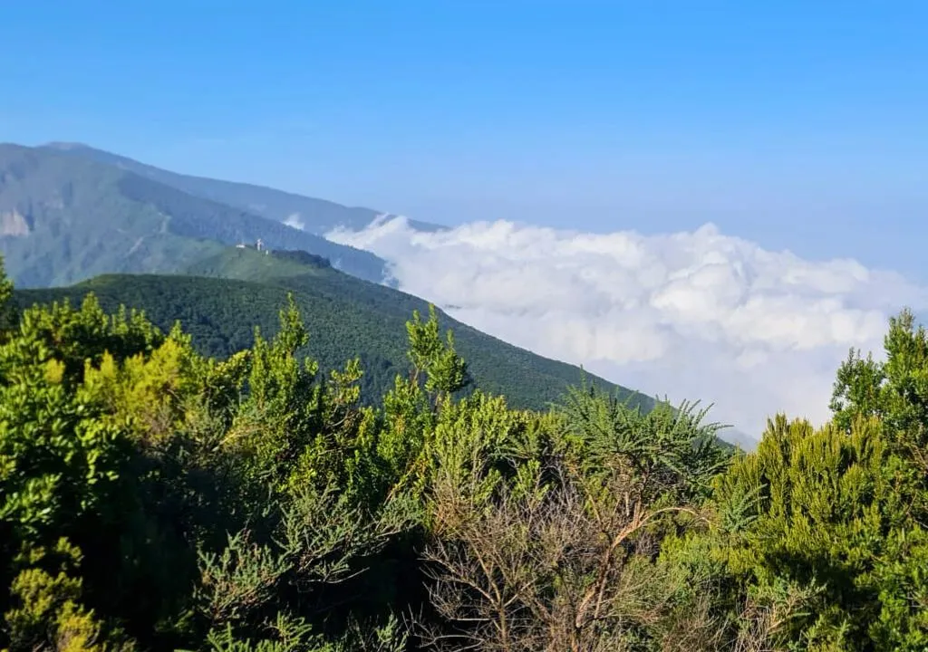 Pico de la Montaña de la venta la palma