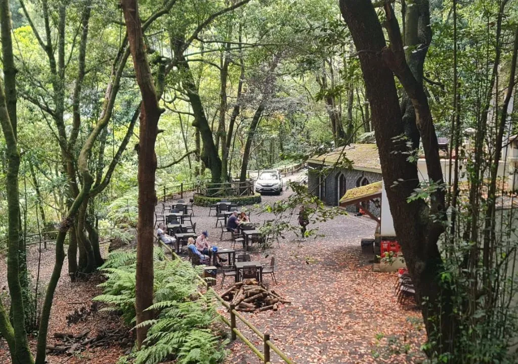 Restaurant im Wald la palma insel