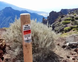 route roque de los muchachos zu picos de las nieves