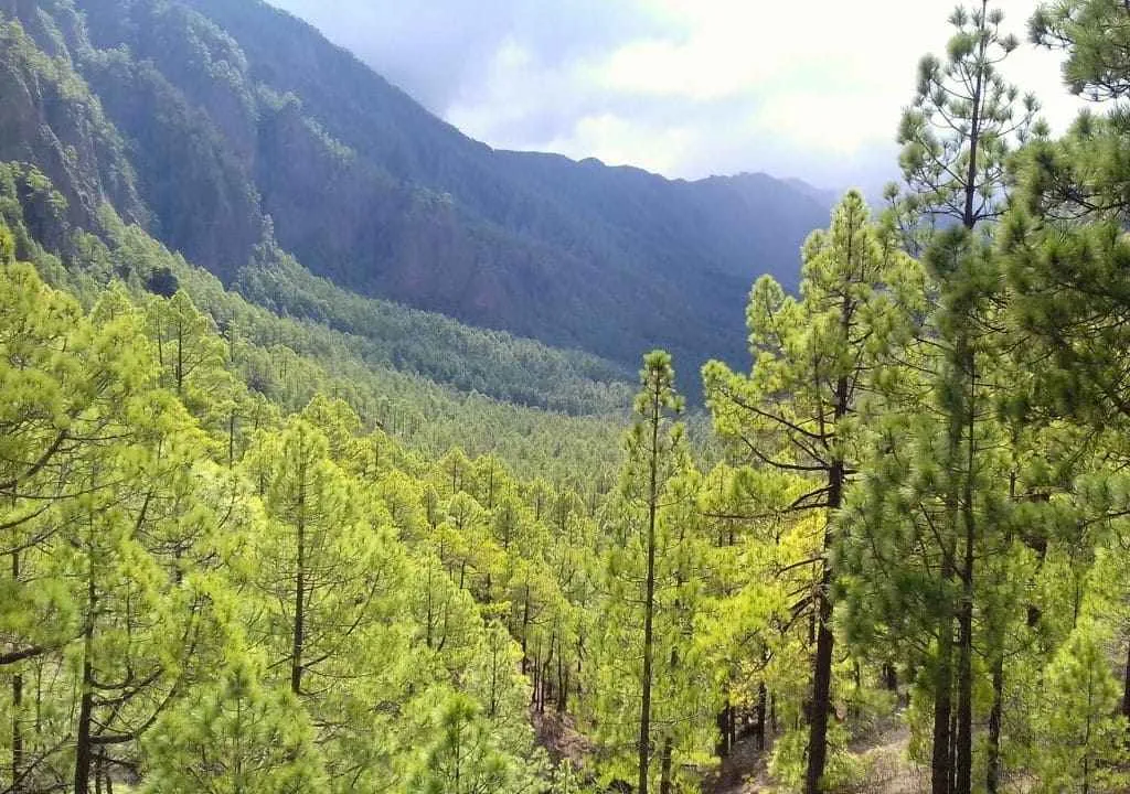 caldera de taburiente aussichtspunkt la cumbrecita