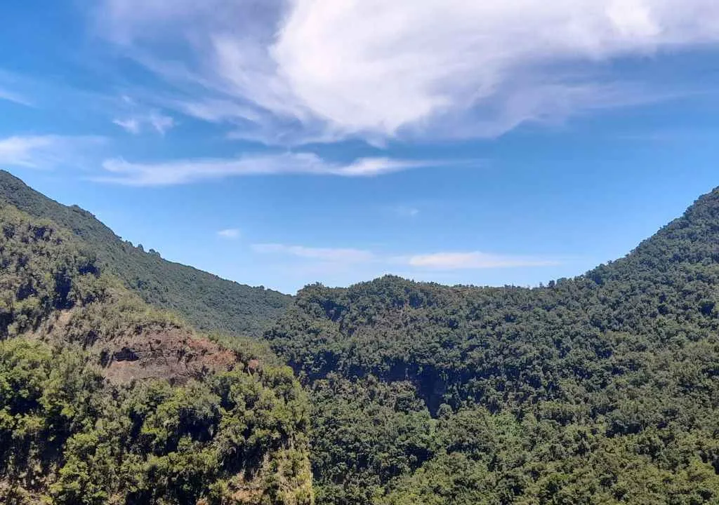 Panoramapunkt espigon atravesado la palma