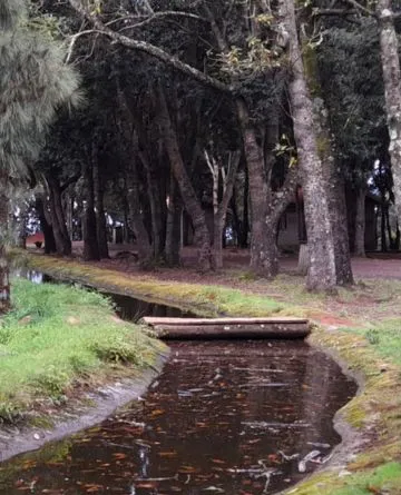 Teich von barlovento la palma