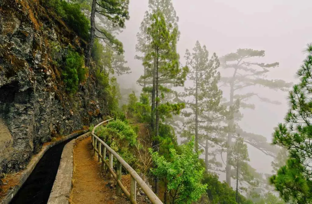 Marcos y Cordero Wandern la palma