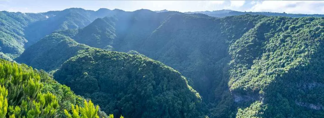 la galga wald aussichtspunkt