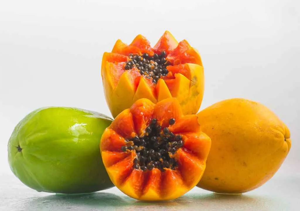 tropische obst papaya
