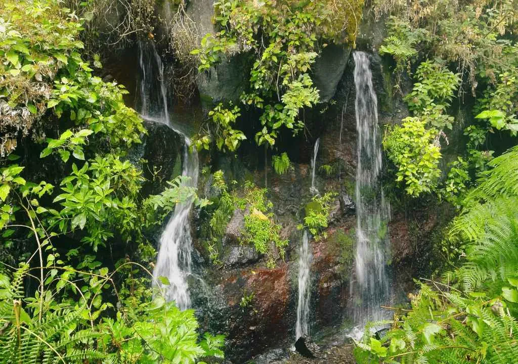 wanderung und quellen Marcos Y cordero La Palma