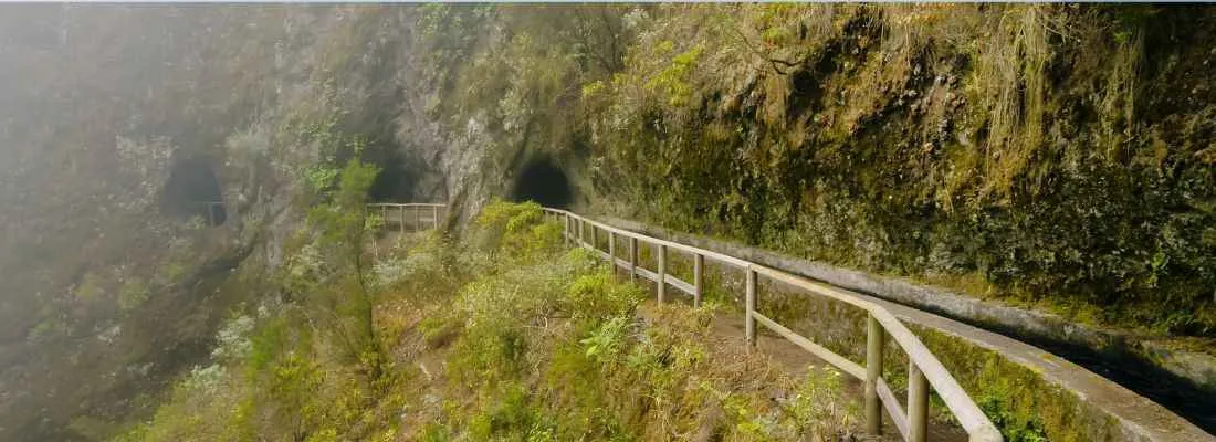 marcos y cordero quellen la palma