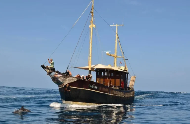 schiff an der kuste von la palma