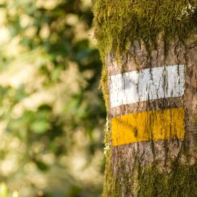 gelb linie kleine wanderungen