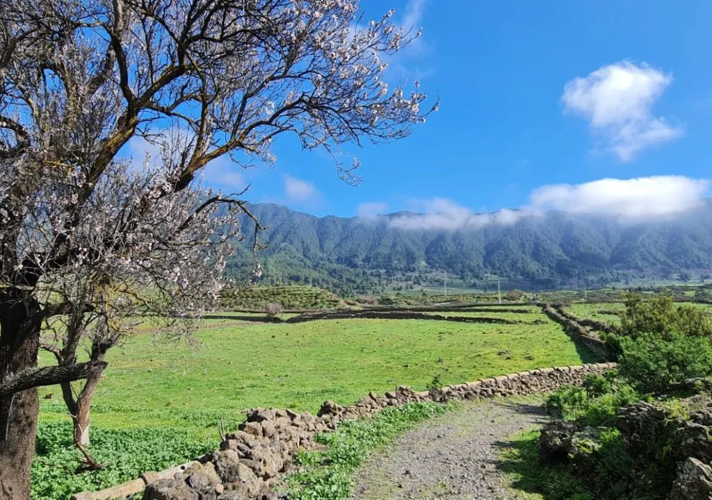 el paso llano de las cuevas