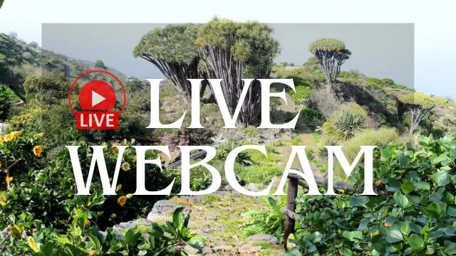 live kamera las tricias