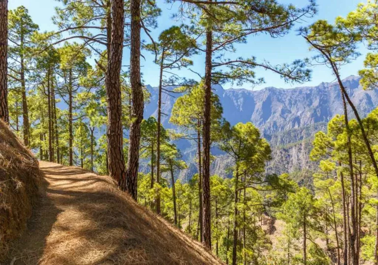 Nature trail caldera
