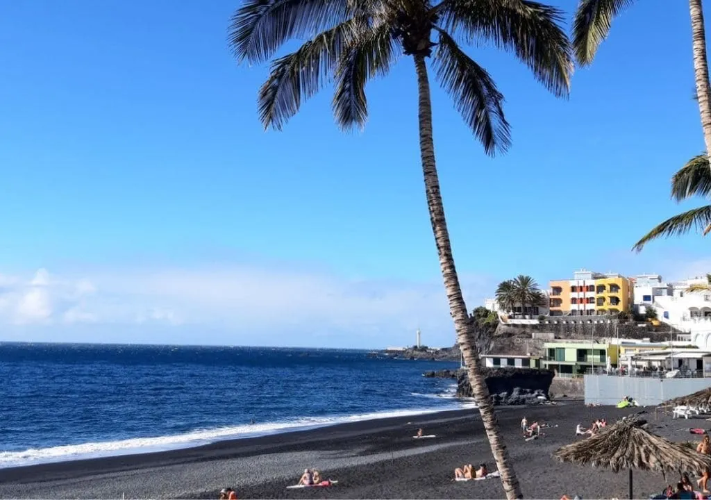 beach of puerto naos with black sand and palms