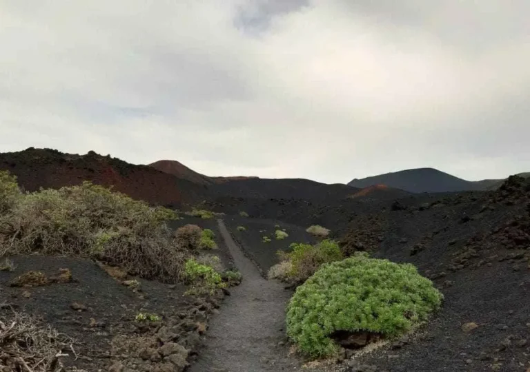 trekking to teneguia volcano