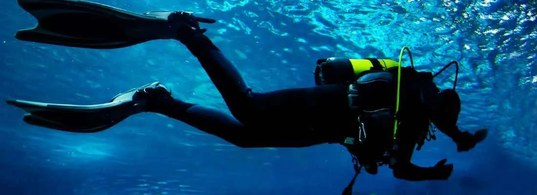 Underwater diving la palma island