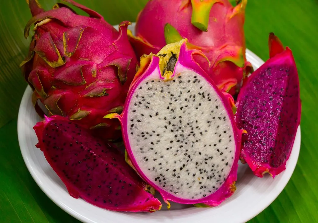 dragon fruit in la palma