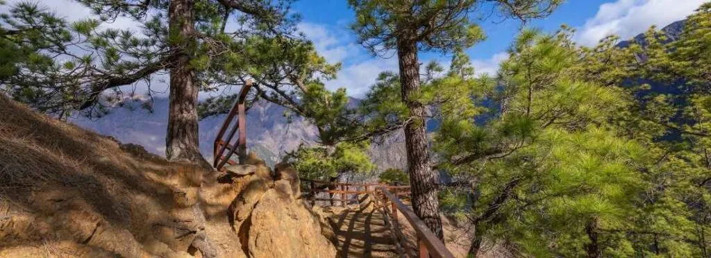 walking in the middle of the caldera de taburiente la palma