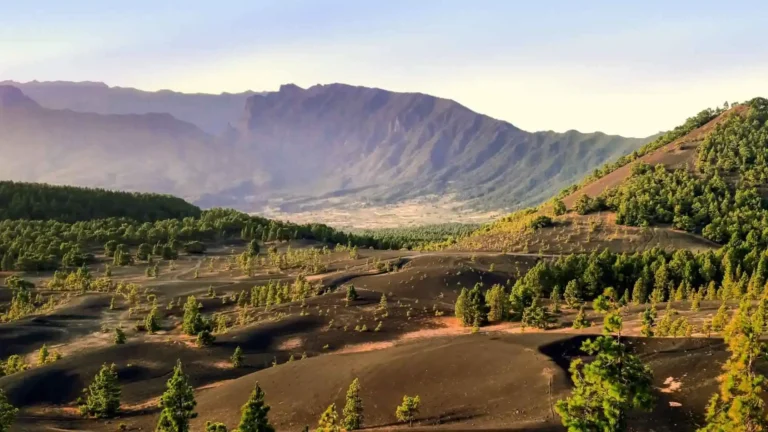 La palma canary islands