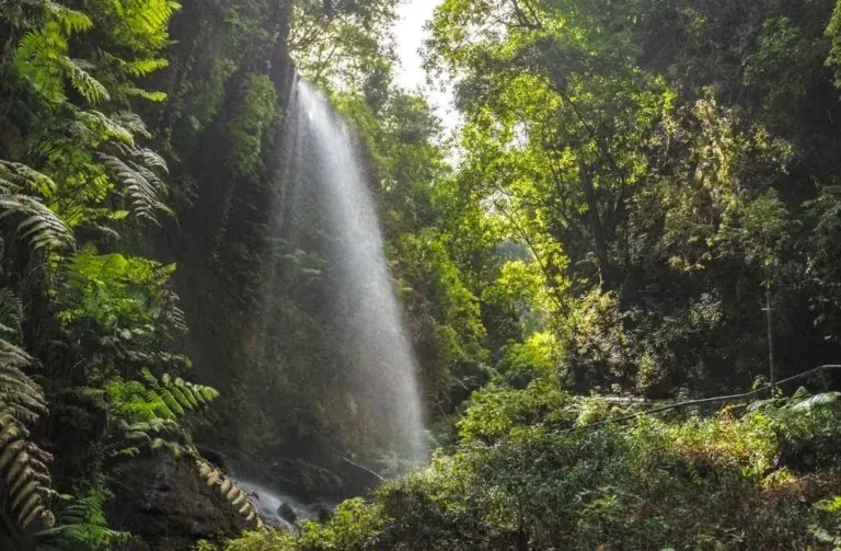 beautiful waterfall la palma