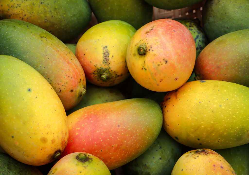 yellow canarian mango