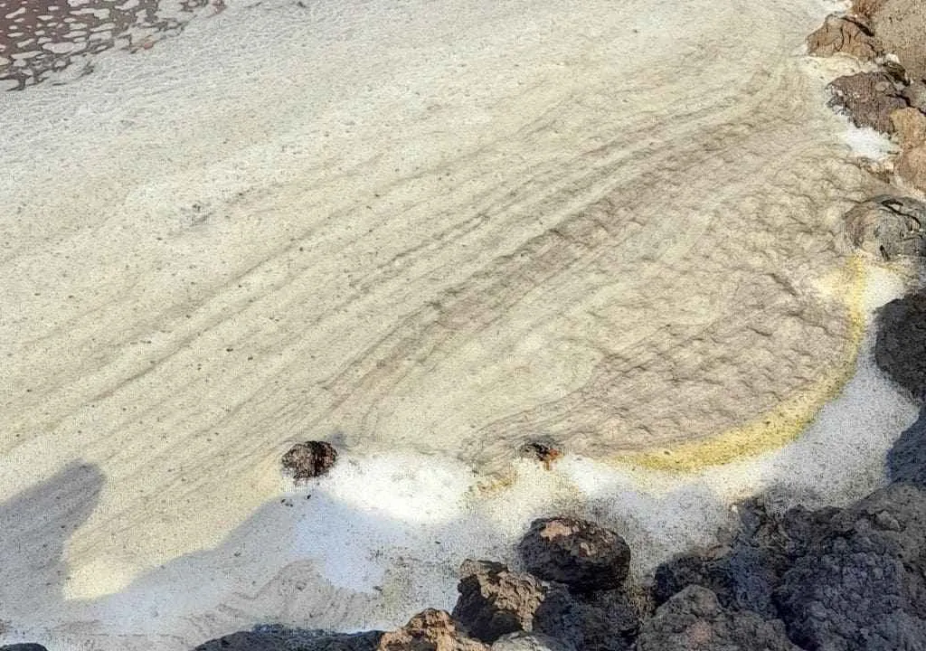 salt from the salt flats of fuencaliente la palma