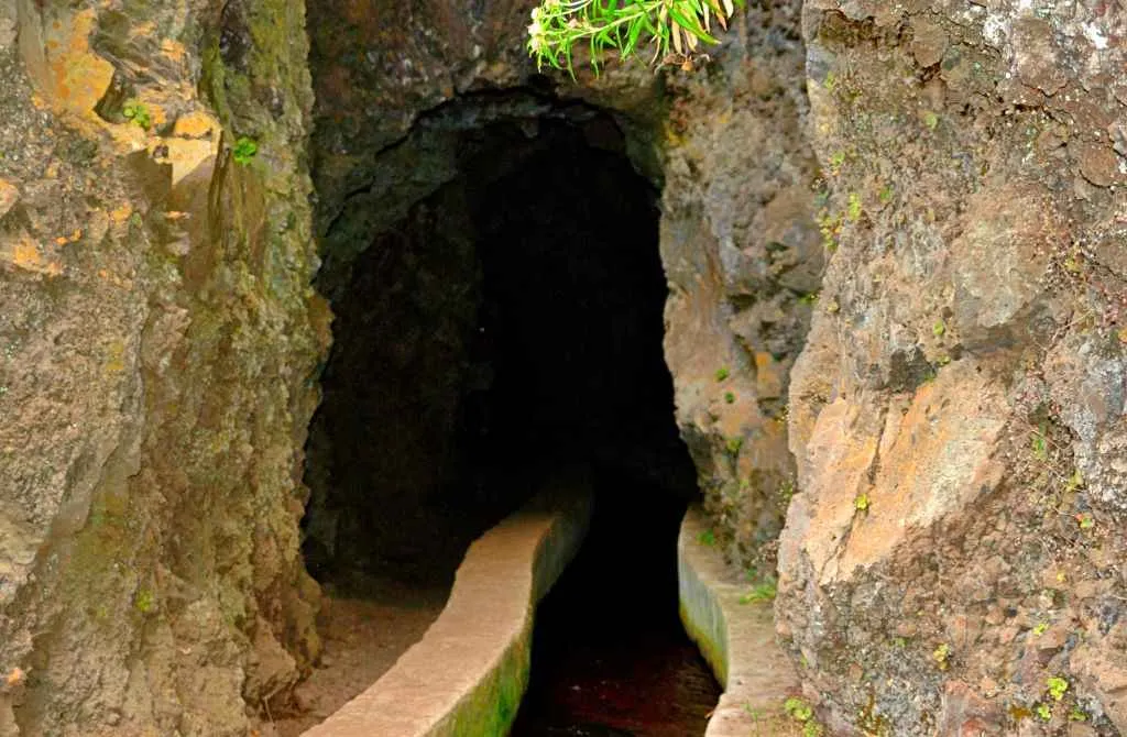 tunnel of marcos y cordero
