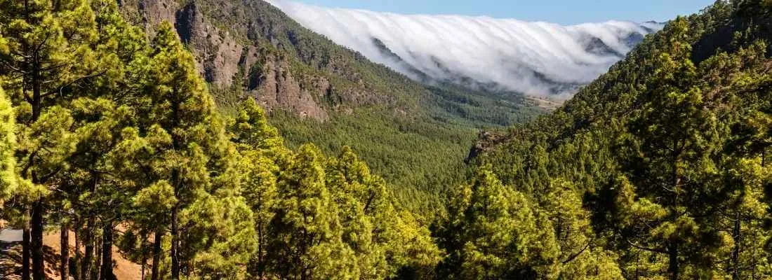 caldera de taburiente walk