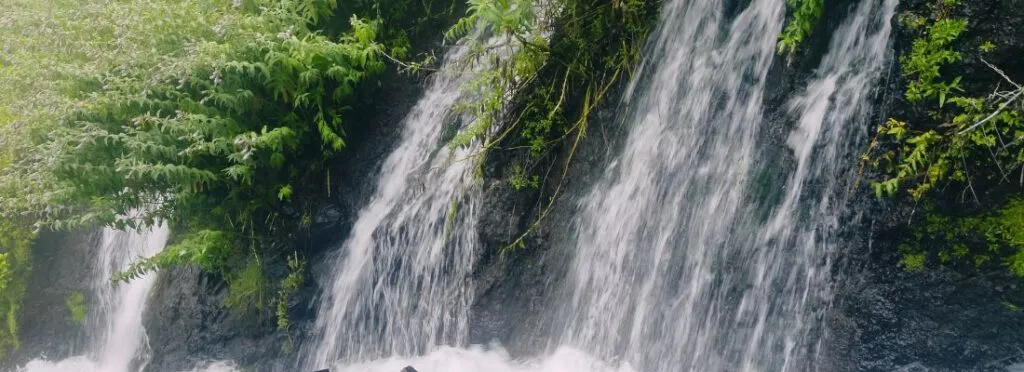 marcos y cordero the hike of the springs