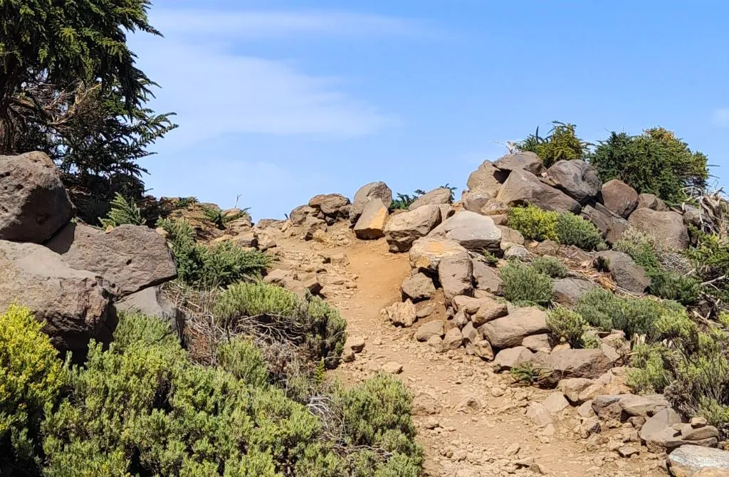 pico de la nieve trail in la palma island