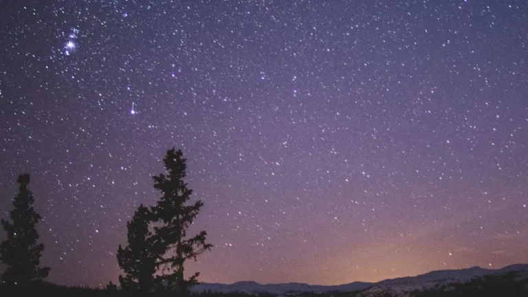 sky of la palma in the night