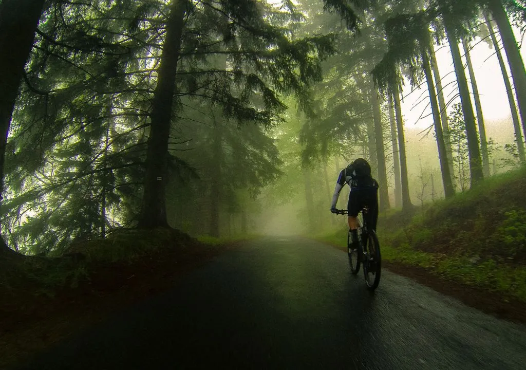 Mountain biking la palma