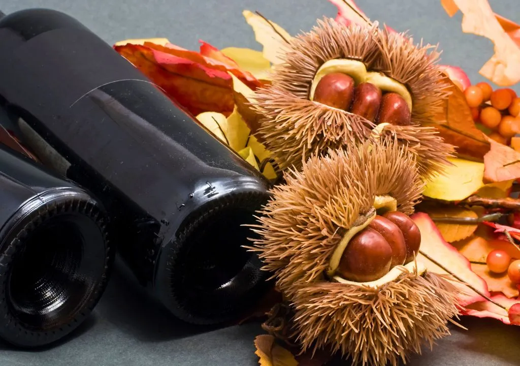 saint martin in la palma