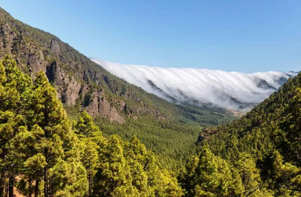 chemin de la palma