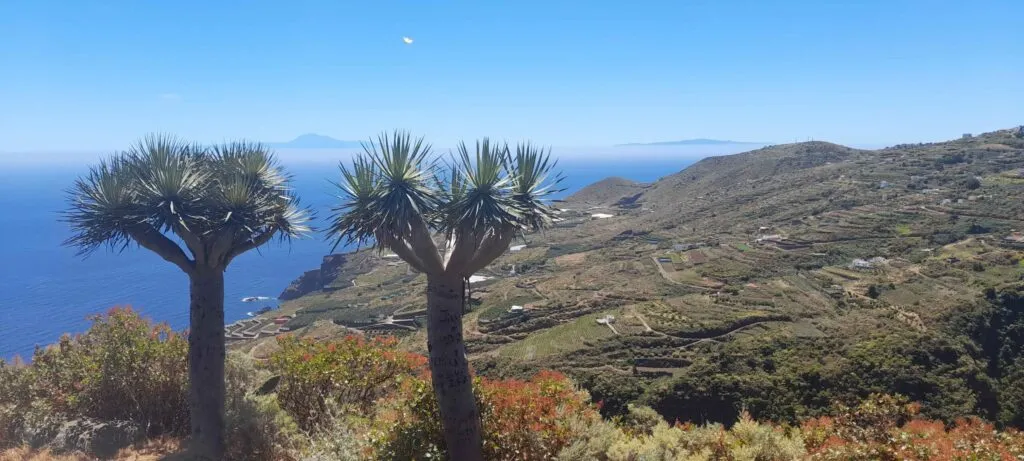 Point de vue san bartolo 