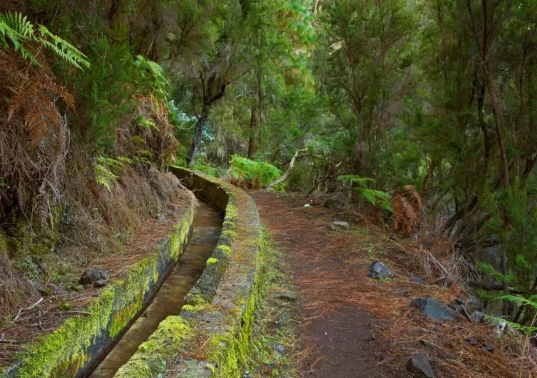 Sentier marcos y cordero la palma