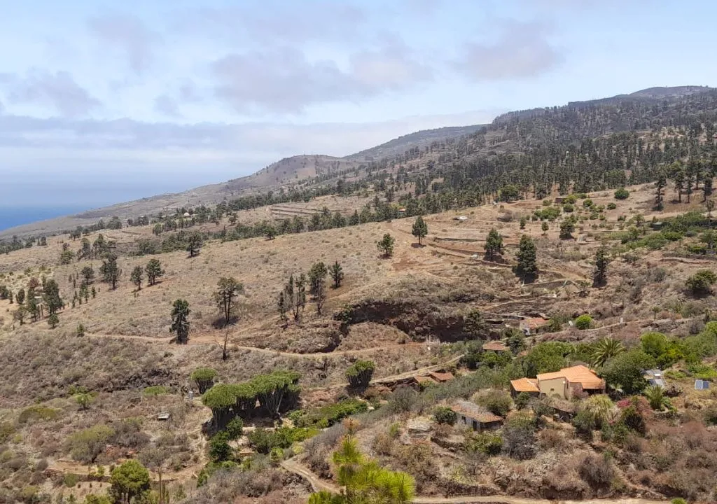 panorama las tricias musee du gofio