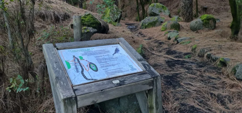 point de départ: À la rencontre d’un Cône Caché