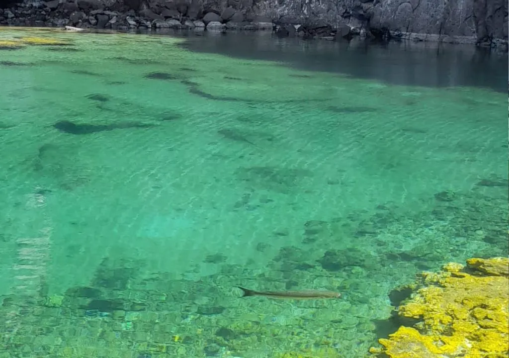 pozas volcaniques à la palma fuencaliente