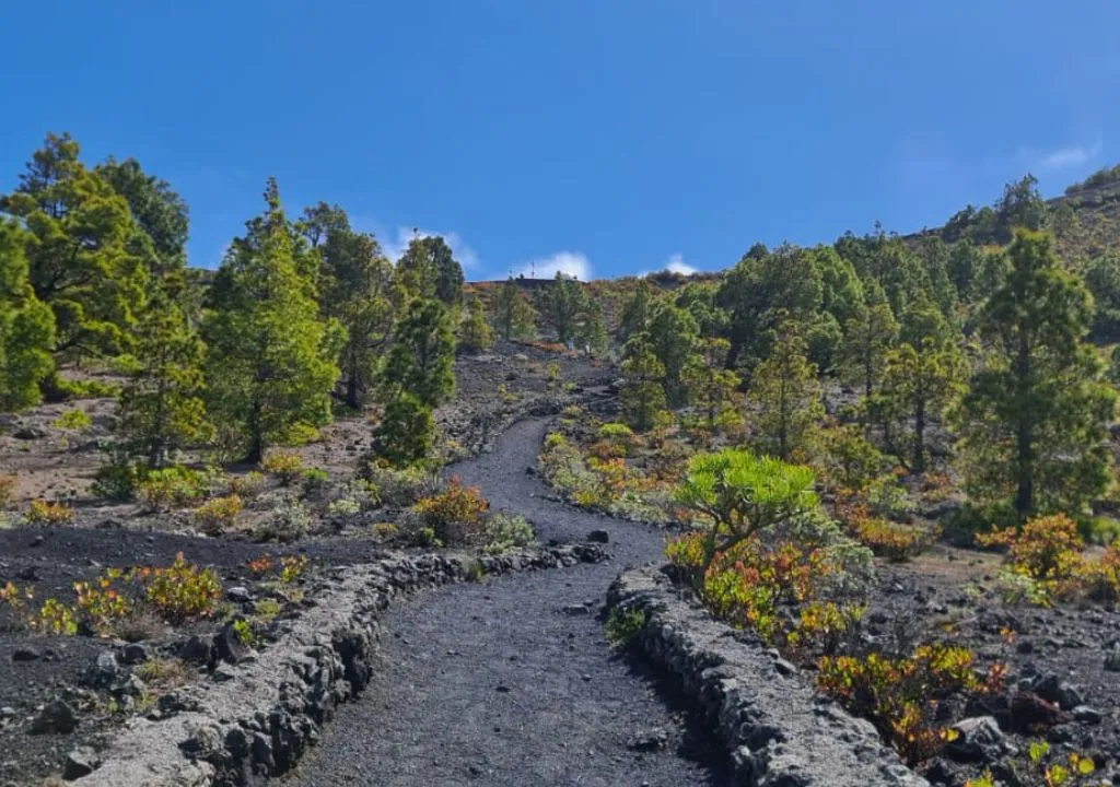 promenade jusqu’au volcan Teneguía la palma