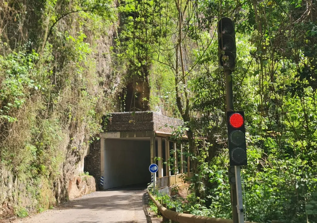 tunnel d'entrée dans la forêt los tilos