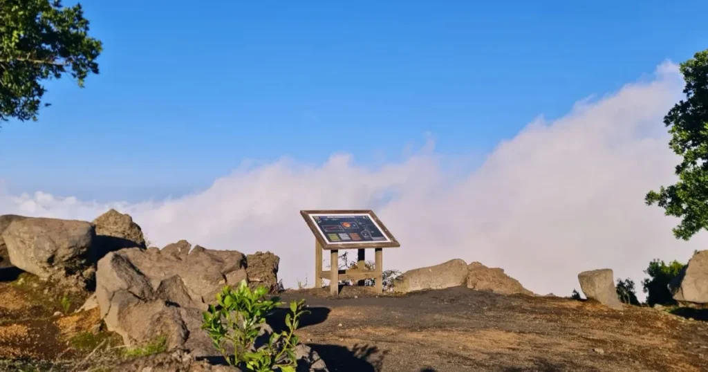 Belvédère las ventas la palma