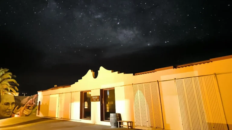 Excursion œnologique aux Bodegas Teneguía