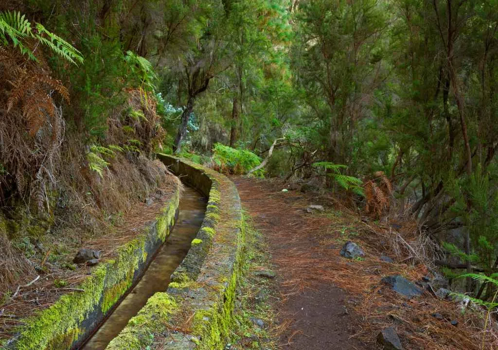 fuentes de la palma en la ruta de marcos y cordero