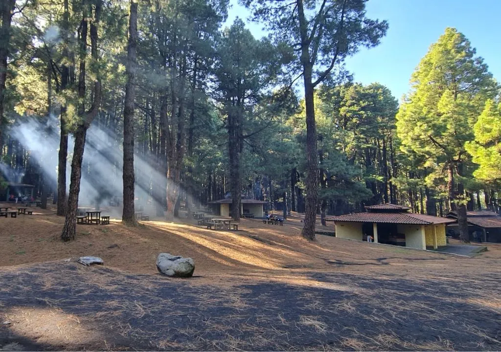 el pilar zona recreativa para familias a la palma
