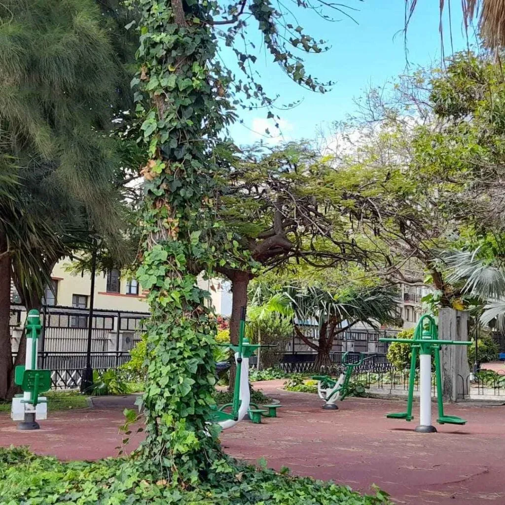 interior del parque infantil playground o las monjas