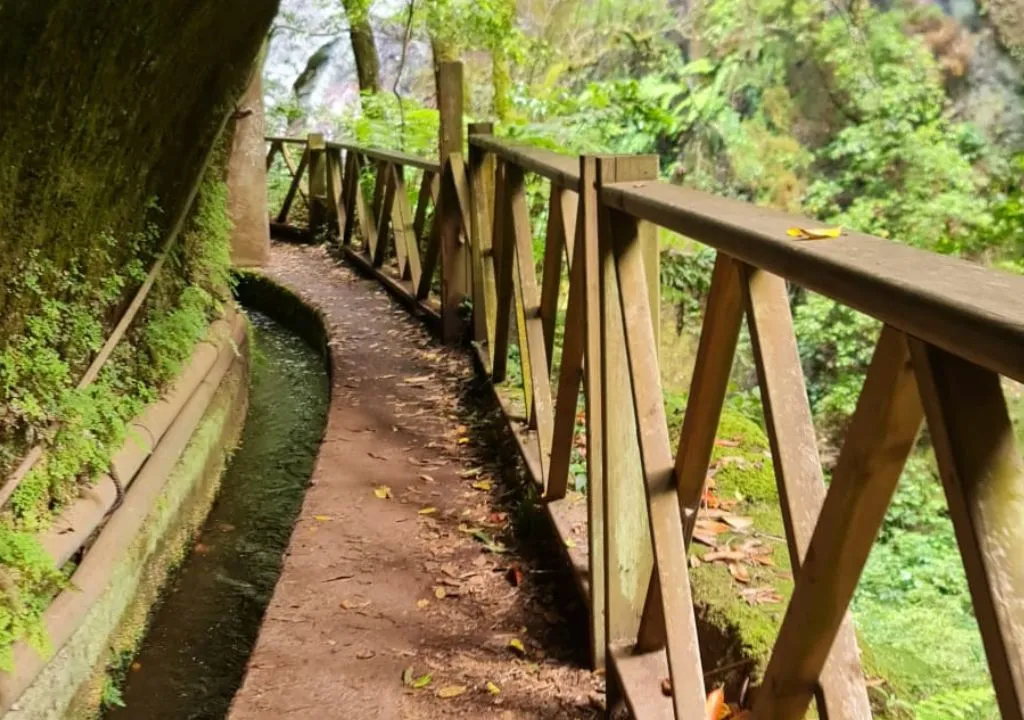 paseo para ver la cascada de los tiles a la palma