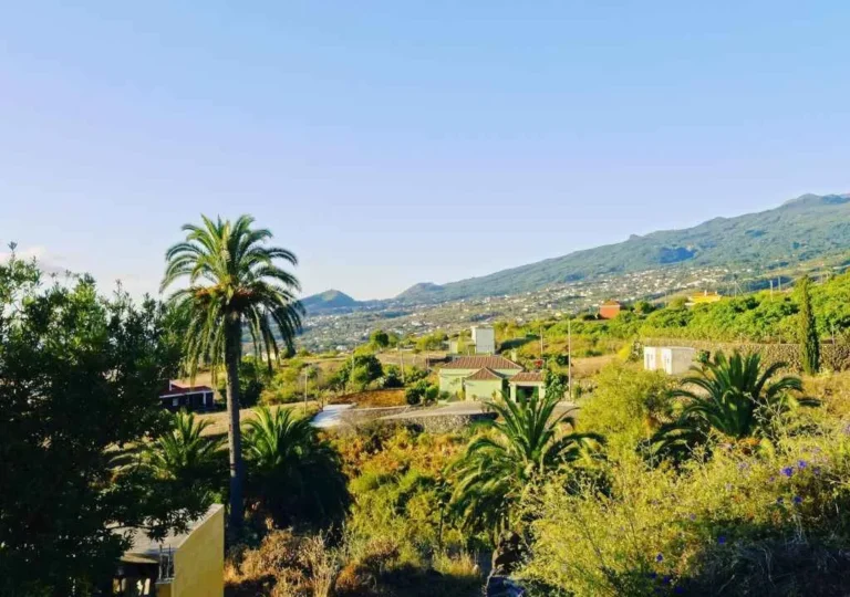 vista pajaro del valle de breña alta