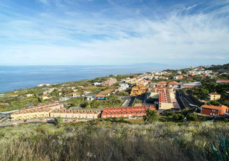 breña baja municipio de la palma vista pajaro